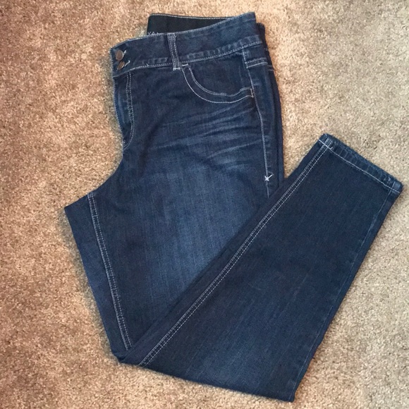 Lane Bryant Denim - Lane Bryant Skinny Jeans